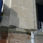 Squirrels run around the pavilion and scaffolding